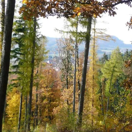 In Waldnaehe, Cleaning Included