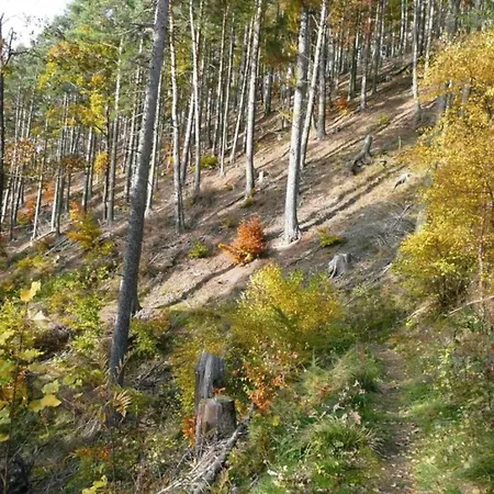 In Waldnaehe, Cleaning Included *